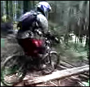 Vancouver\'s North Shore, the cradle of freeriding