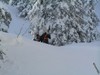 Highlight for Album: Snowboardtouren Planneralm die Zweite - Danke an Lenz und Stef! Highlight for Album: Snowboardtouren Planneralm die Zweite - Danke an Lenz und Stef!